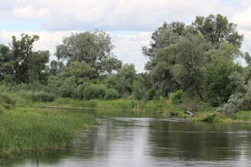 Fototapeta premium Full-flowing river