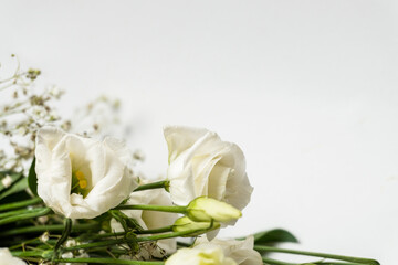 Obraz na płótnie Canvas beautiful eustoma flowers isolated on white background