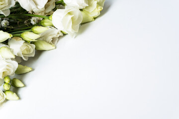 Obraz na płótnie Canvas Delicate greenish-white eustoma flowers on a white background. Row of beautiful Eustoma flowers on white background. copy space for text. Selective focus