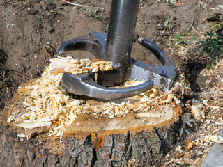 Breaking a tree stump with a cutter © VPales