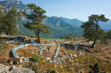 Fototapeta na wymiar Apiary with many bee hives in a row under large conifers with mountain view on Mediterranean coast in Turkey, Beekeeping along Lycian Way hiking trail, Sunny day
