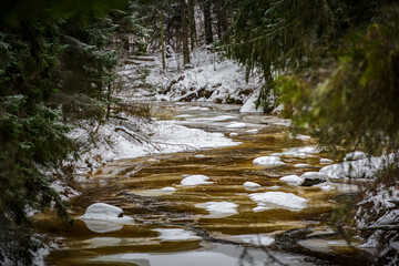 river in the winter forest