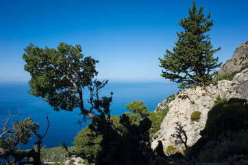 Fototapeta na wymiar View of Mediterranean sea coast from Lycian way hiking trail high on mountain near Alinca, Nature of Turkey, blue water horizon