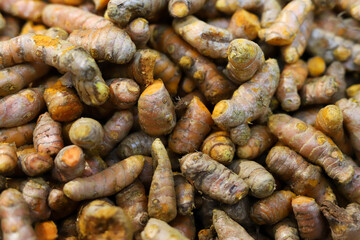 Turmeric