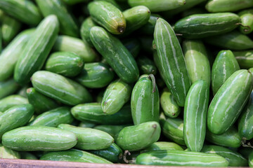Cucumber
