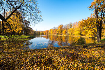 View of city park in autumn