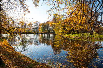 View of city park in autumn