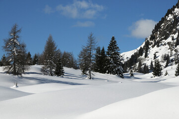 Fototapeta na wymiar Beautiful snowy winter landscape at the San Pellegrino Pass in Val di Fiemme. South Tirol in Italy.