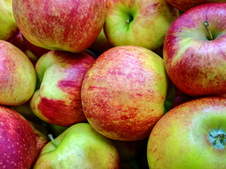 Bulk Apples in Bin. Ripe sweet apples. Big and healthy red-green fruits. Fresh organic apples from above for sale. Close-up. Selective focus. Full frame..