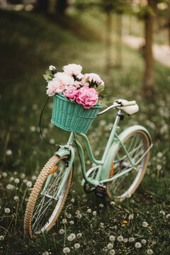 wiosna rower piwonie pastele retro vintage © Anna