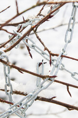 Metal chain hanging on a bush branch in winter
