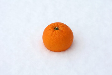 Oranges lie in the snow. Ripe fruits