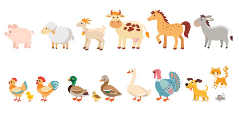 Farm animals and poultry collection. Vector. Pets, farm animals and birds. Dog, cat and mouse.