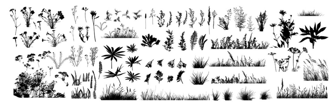 The silhouette of the grass big set. Vector illustration