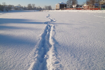 a trail in the snow