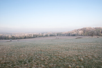 Las i łąka w środku zimy. Szadź na drzewach. © shake_pl