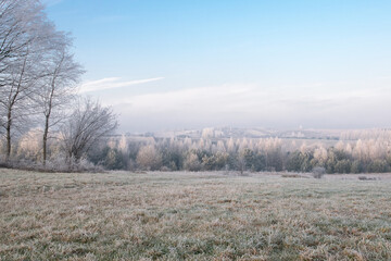 Krajobraz zimowy. Drzewa pokryte szronem.  © shake_pl