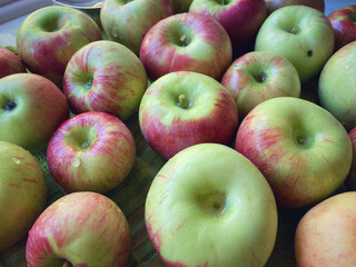 Fresh picked apples