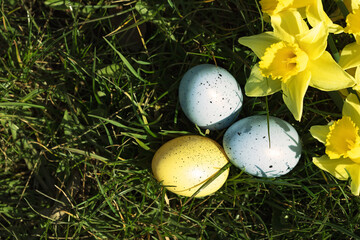 Easter eggs. Easter background. Colorful easter eggs with yellow flowers