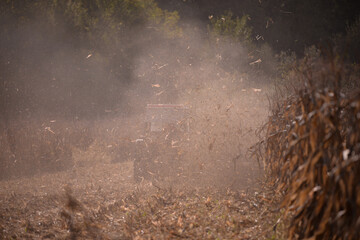 an old red tractor chopping corn in the field. mechanized agriculture in the village. maize cutter