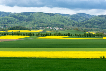 zielone i żółte (rzepak) pola uprawne na pierwszym planie, w tle góry i niebiesko-szare niebo ponad nimi