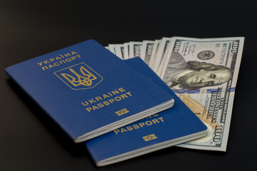 passport and money
