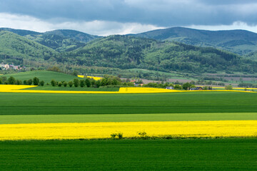 zielone i żółte (rzepak) pola uprawne na pierwszym planie, w tle góry i niebiesko-szare niebo ponad nimi - obrazy, fototapety, plakaty