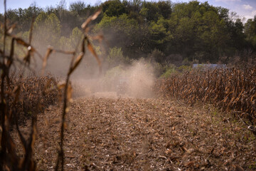 an old red tractor chopping corn in the field. mechanized agriculture in the village. maize cutter