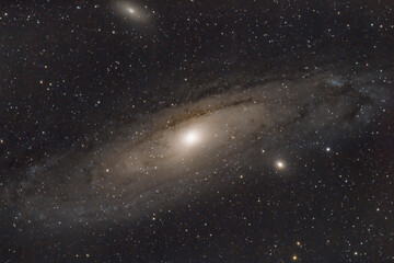 Obraz premium M31 (Andromeda Galaxy)
