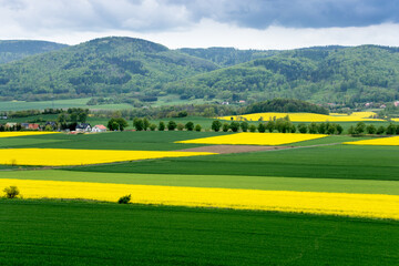 zielone i żółte (rzepak) pola uprawne na pierwszym planie, w tle góry i niebiesko-szare niebo ponad nimi - obrazy, fototapety, plakaty