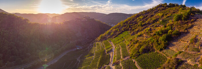 Sunset over the vineyards in the Ahr Valley, aerial view