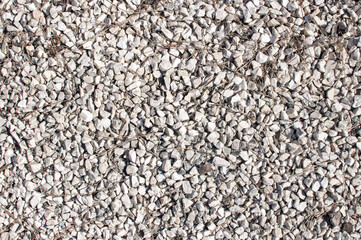 A texture of many little grey white stones laying on ground