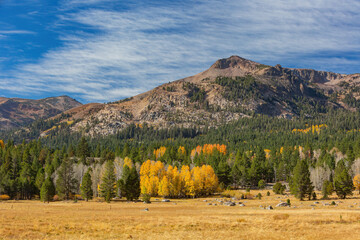 Sunny view with beautiful fall color along the Hope Valley in Lake Tahoe area