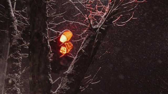 Traffic light in the city on winter snowy night