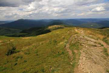 Fototapeta premium Landscape of Bukowe Berdo, Bieszczady National Park, Poland