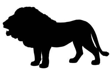 Vector silhouette of an African lion in black and white.