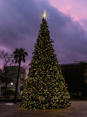 christmas tree in the city at sunset