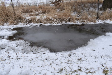 Frozen Puddle