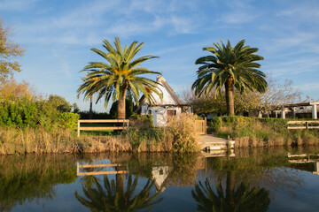 Fototapeta na wymiar View of a traditional Valencian house on the edge of a lagoon in a natural park among palm trees