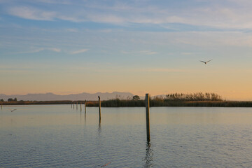 view of freshwater lagoon at sunset and bird flying over sky at sunset
