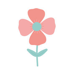 jasmine with a pink color