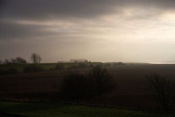 Fototapeta na wymiar Misty Morning in North Germany
