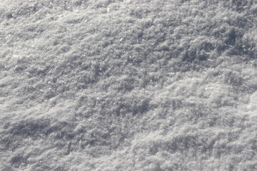 Rime ice covered snow