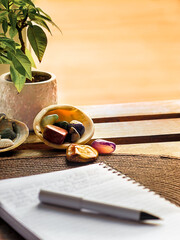 Moment der Ruhe mit Tagebuch