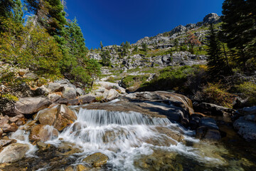 Sunny view of the Horsetail Fall Trail at Lake Tahoe