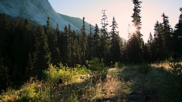 Rugged mountain peak and evergreen forest in British Columbia. 4K 24FPS.