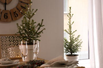 Small potted fir trees in dining room. Interior design