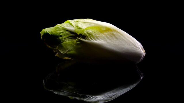 Chicory salad rotating on a black background in 4K. Close up of fresh Belgian endive, studio footage.