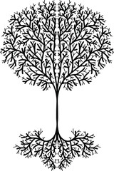Obraz premium Tree of Life Hand Drawn Design Vector