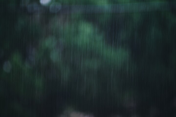 Chuva